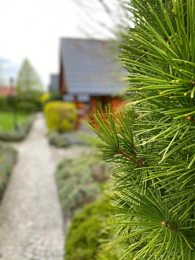 Domki U Basi Kudowa-Zdrój Eksteriør billede